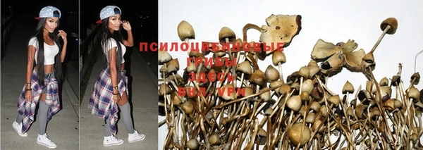 mdpv Алзамай