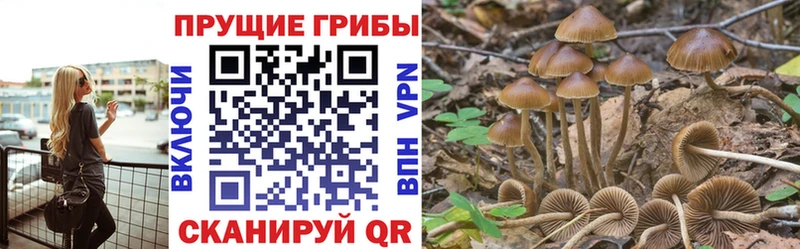 мориарти формула  ссылка на мегу зеркало  Хотьково  Псилоцибиновые грибы MAGIC MUSHROOMS 